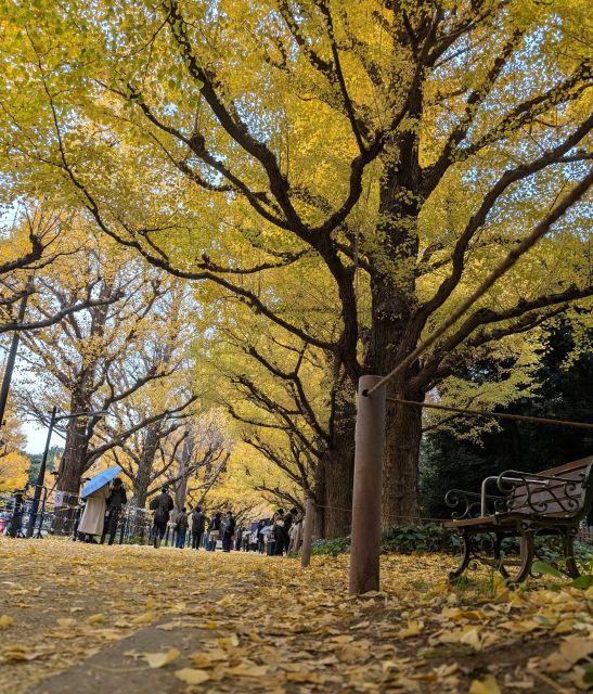 今年も神宮外苑の銀杏並木を見てきました！